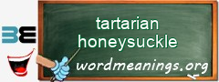 WordMeaning blackboard for tartarian honeysuckle